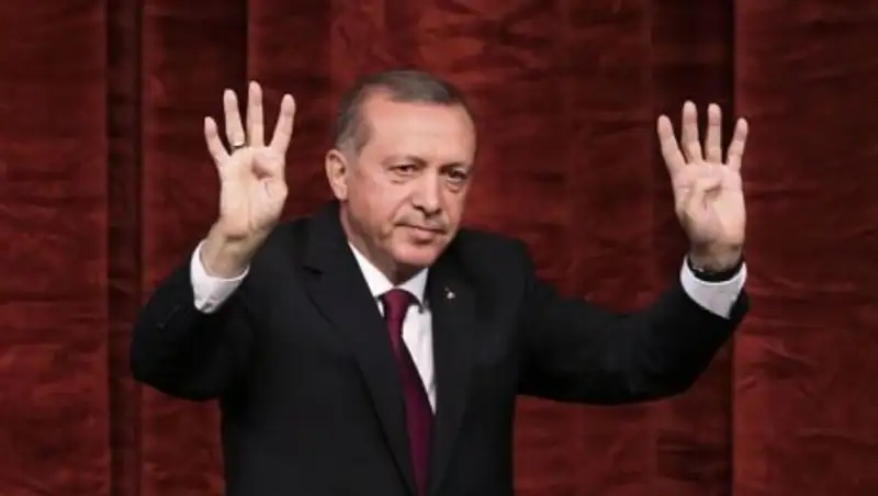 Власти Германии получили 136 просьб об убежище от турецких дипломатов