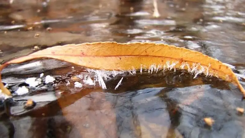 В Астане и 12 областях страны на понедельник объявлено штормовое предупреждение