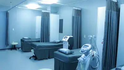 Pixabay, фото - Новости Zakon.kz от 13.04.2020 16:45