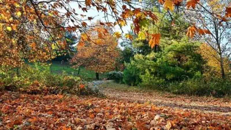 Синоптики предоставили прогноз погоды на 4 сентября в Казахстане