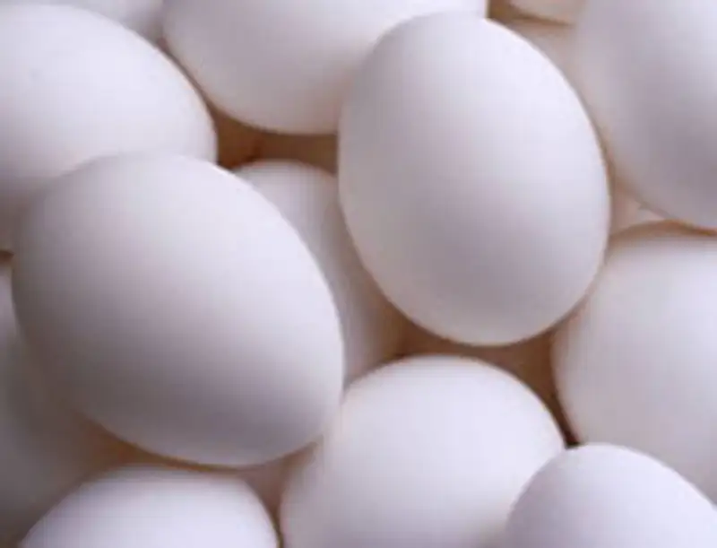 Вор-рецидивист ограбил в Алматы яичный киоск