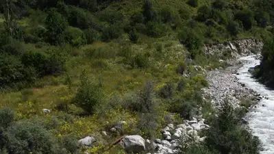 Возврат земельного участка Каргалинскому заказнику отсрочили до 2040 года, фото - Новости Zakon.kz от 20.07.2023 12:08