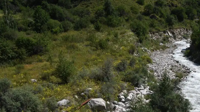 Возврат земельного участка Каргалинскому заказнику отсрочили до 2040 года