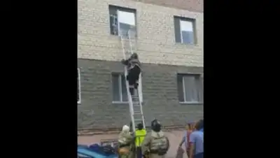 Zakon.kz, фото - Новости Zakon.kz от 07.08.2017 22:39