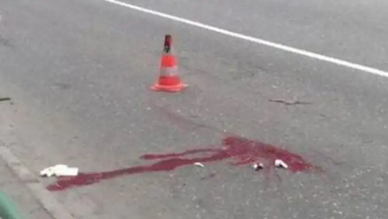 Полиция разыскивает водителя, насмерть сбившего пешехода в Усть-Каменогорске