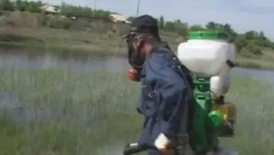 Zakon.kz, фото - Новости Zakon.kz от 30.11.2014 02:27