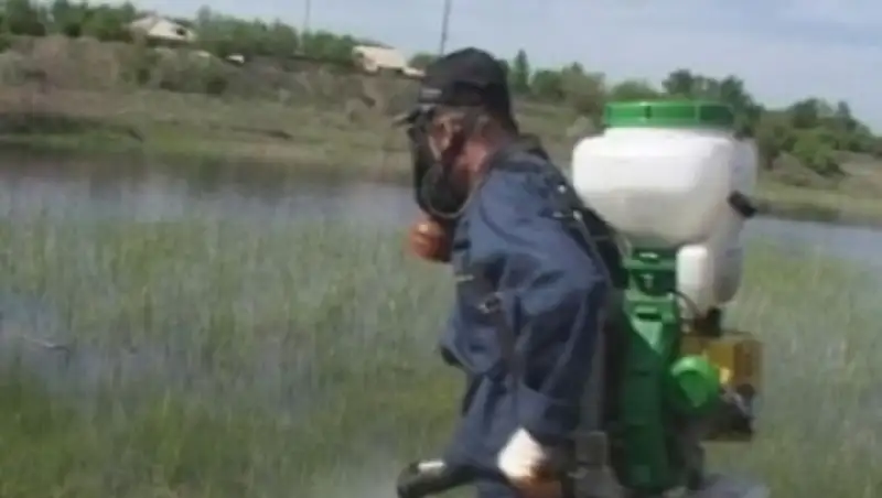 В ЗКО просят больше денег на борьбу с комарами и мошками