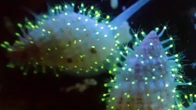 Zakon.kz, фото - Новости Zakon.kz от 04.02.2016 12:14