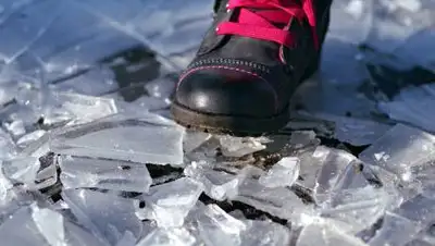 pixabay, фото - Новости Zakon.kz от 07.11.2021 02:45