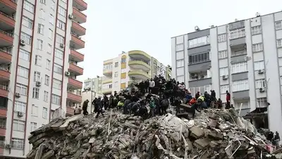Землетрясения в Турции: число жертв превысило 42 тысячи человек