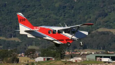 wikipedia, фото - Новости Zakon.kz от 14.07.2019 22:42