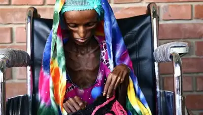 Zakon.kz, фото - Новости Zakon.kz от 15.09.2017 16:37