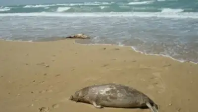 Zakon.kz, фото - Новости Zakon.kz от 19.04.2016 12:37