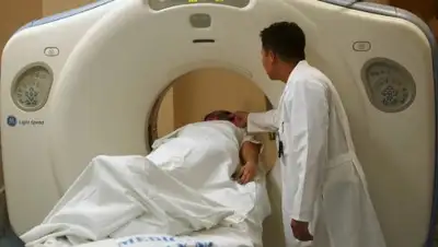 pixabay.com, фото - Новости Zakon.kz от 17.04.2020 14:25