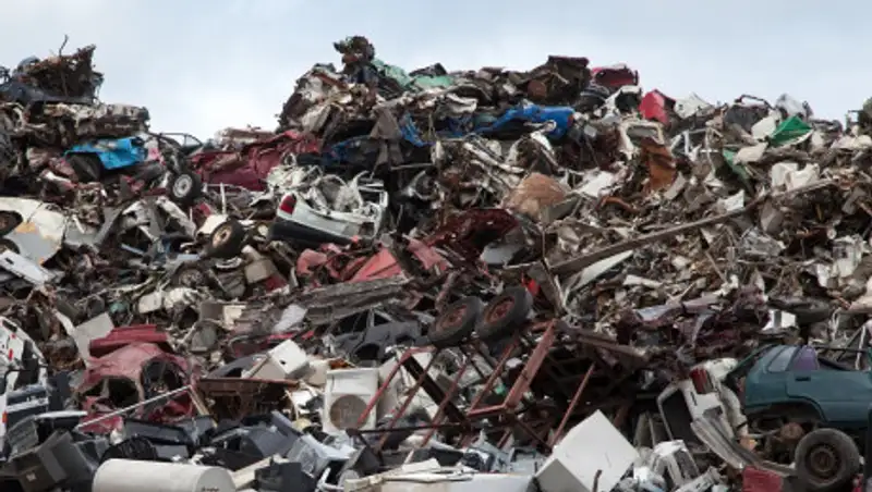 "Бардак уже всем надоел" - соседство со свалкой терпят жители столицы