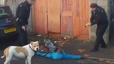 Youtube, фото - Новости Zakon.kz от 28.06.2019 06:26