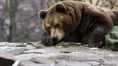 Zakon.kz, фото - Новости Zakon.kz от 21.06.2015 18:31