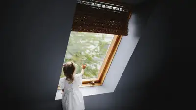 окна, трагедия