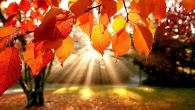 Zakon.kz, фото - Новости Zakon.kz от 08.09.2016 14:00