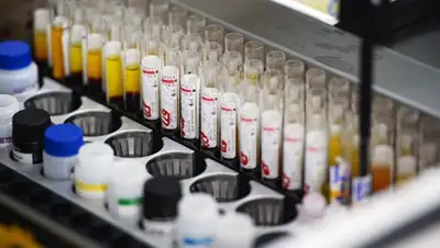 © РИА Новости / Александр Кряжев, фото - Новости Zakon.kz от 23.07.2018 08:41