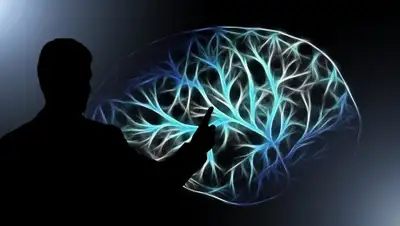 Версия.Инфо, фото - Новости Zakon.kz от 16.07.2019 10:33