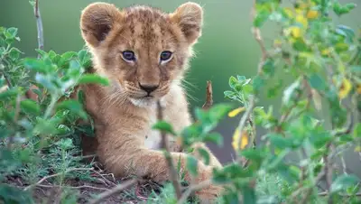 KiddyClub, фото - Новости Zakon.kz от 11.07.2019 14:04