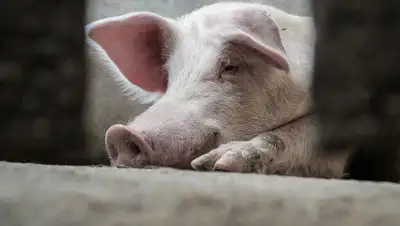 hightech.fm, фото - Новости Zakon.kz от 17.01.2020 14:47