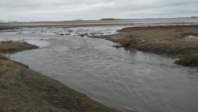 Около 160 населенных пунктов могут быть подтоплены паводками в ВКО