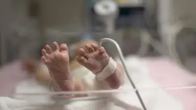 Фото: journal.ru, фото - Новости Zakon.kz от 15.01.2018 17:14