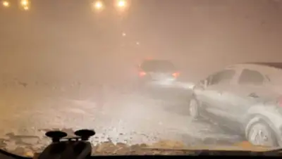 Zakon.kz, фото - Новости Zakon.kz от 27.01.2020 13:38