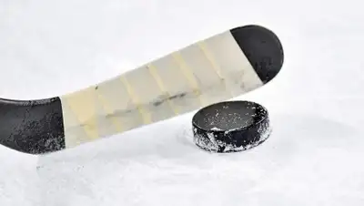 Pixabay, фото - Новости Zakon.kz от 08.11.2019 07:14