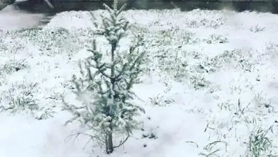 Instagram, фото - Новости Zakon.kz от 18.04.2019 08:24