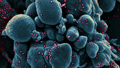 РИА Новости, фото - Новости Zakon.kz от 05.04.2020 12:48