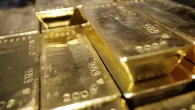 Zakon.kz, фото - Новости Zakon.kz от 25.08.2017 18:40