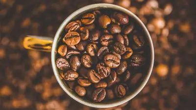 Война за кофе: как бодрящий напиток ссорил народы и двигал прогресс
