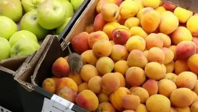 Zakon.kz, фото - Новости Zakon.kz от 20.07.2015 15:43