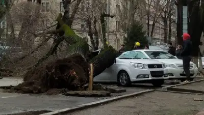 как возместить ущерб, фото - Новости Zakon.kz от 24.03.2022 16:59