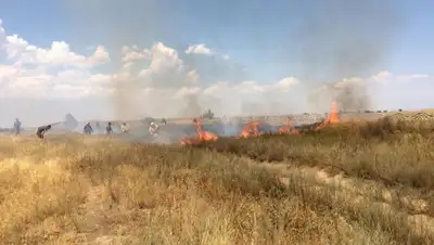 zakon.kz., фото - Новости Zakon.kz от 22.07.2020 08:51