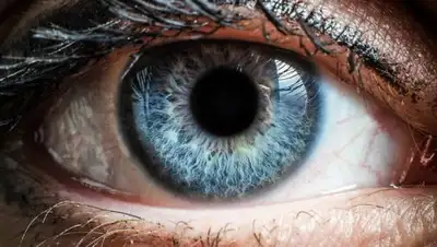 glazzdorov.ru, фото - Новости Zakon.kz от 17.10.2018 15:01