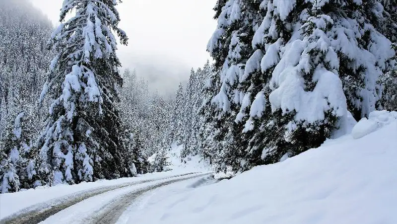 Сильный дождь со снегом прогнозируют синоптики 15 ноября в Казахстане