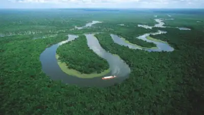 hi-news.ru, фото - Новости Zakon.kz от 15.05.2020 10:13