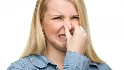 Molochnitsa.com, фото - Новости Zakon.kz от 08.09.2018 01:59