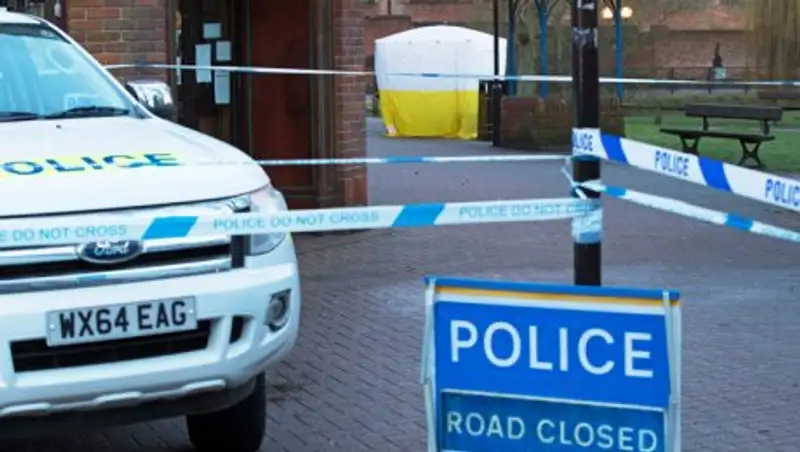 Британские эксперты не подтвердили, что "Новичок" был из России