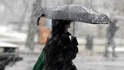 Sarinform, фото - Новости Zakon.kz от 25.04.2018 11:02