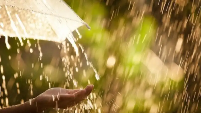 16 августа местами по РК пройдут дожди с грозами и шквалистым ветром