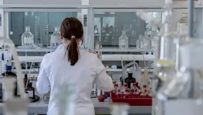 Pixabay, фото - Новости Zakon.kz от 09.04.2020 11:18