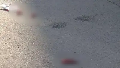 Zakon.kz, фото - Новости Zakon.kz от 16.02.2016 17:45