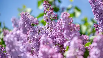 Субботний гороскоп для всех знаков зодиака, фото - Новости Zakon.kz от 15.04.2023 13:43