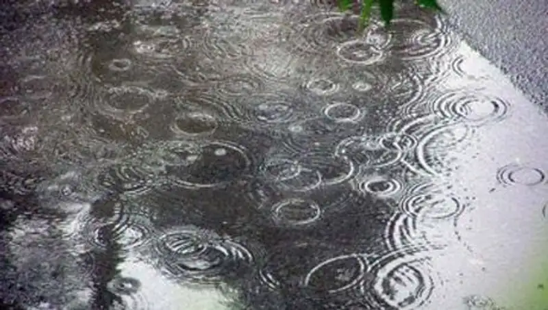 Дожди и ветер ожидаются на севере и востоке Казахстана в пятницу