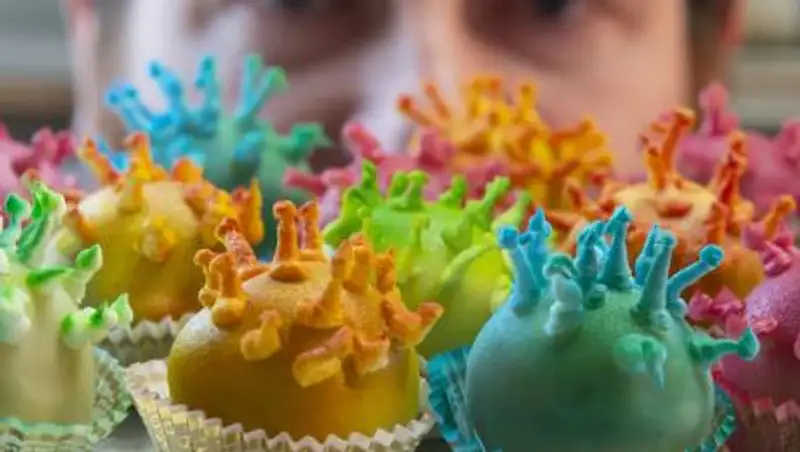 17 ноября - день рождения коронавируса